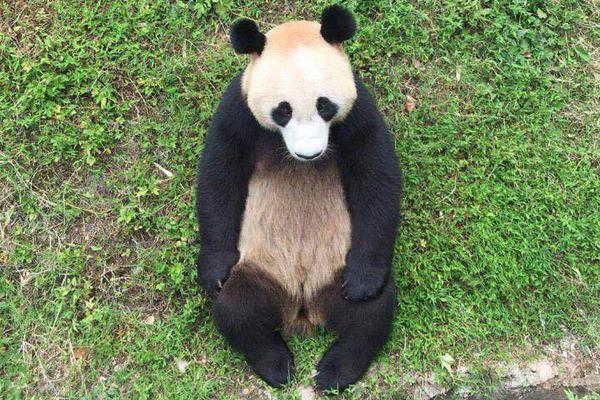 无尽航线回费体系怎么玩