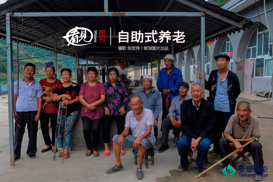 吸血鬼幸存者奥秘起始有什么用