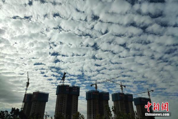 大型医药公司模拟有什么特色内容