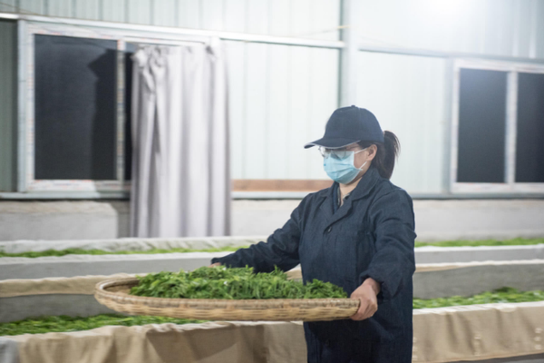 天命奇御2摩尼教的诵经堂打坐老者传闻怎么做